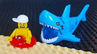 Shark Attack