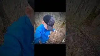 лютий Илья #топ #алина #арсений #илья #вика #тренд #shorts #тренд
