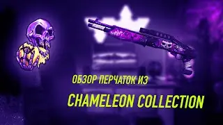ОБЗОР ПЕРЧАТОК ИЗ CHAMELEON КОЛЛЕКЦИИ