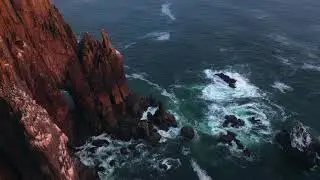 Неукротимый берег / The Untamed Coast
