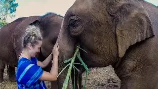Travel Journal - Northern Thailand