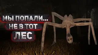 ОБОСРАТУШКИ В ЛЕСУ ➤ Veneficium прохождение