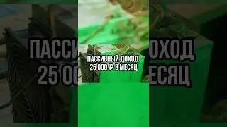 Antminer S21 сколько сейчас приносит ⚡️ 