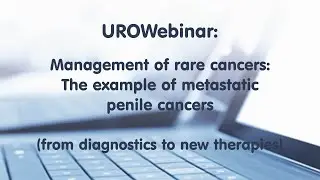 Management of rare cancers: The example of metastatic penile cancers