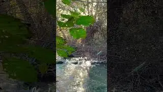 #river