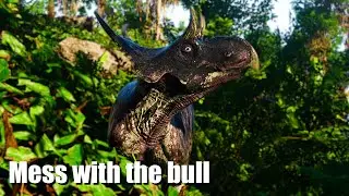 You get the horns