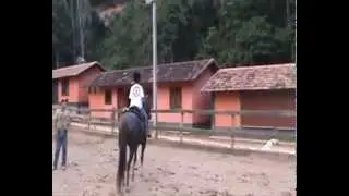 Johnny&Dinamarca.wmv