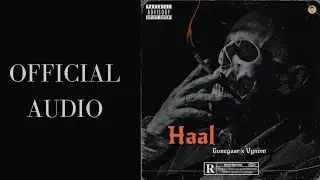 Haal | Gunegaar x Vynom