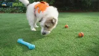Bumper Hond - Medpets.be - Voor de gezondheid van uw dier