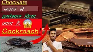 Cockroach 🪳 से मिलकर बनता है चॉकलेट (Chocolate)😱||#FunTathya