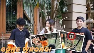 Ditantang masuk ke kandang harimau sama kak @AlshadAhmad