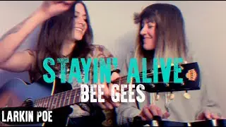 Bee Gees 
