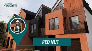 ՌԵԴ ՆԱԹ / RED NUT