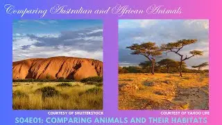 Comparing Australian and African Animals