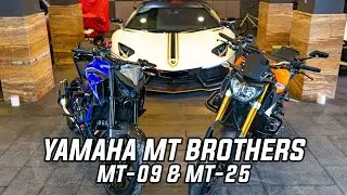 REVIEW YAMAHA BROTHERS ! MT-09 & MT-25 🔥!