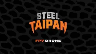 Steel Taipan FPV Drone Footage