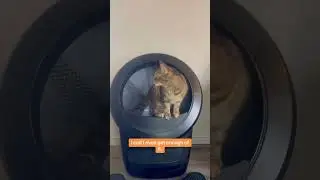 Your cat will thank you 😽