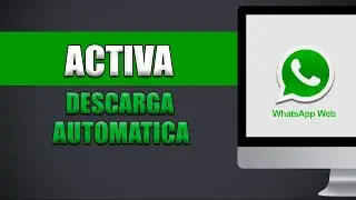 Cómo Activar La Descarga Automática De Archivos En Whatsapp Web