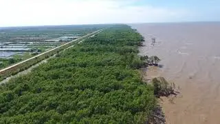 Coast at Tieu Dua, Huong Mai, Ca Mau (15/01/2018)
