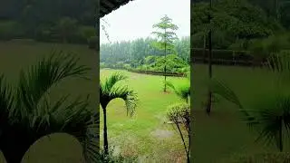 Luka le tor cehra la #short video