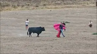 Momento casi místico en el encierro por el campo de Hita