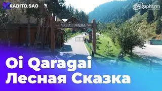 Oi Qaragai - Лесная сказка