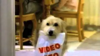 Put a little weekend in your week, rent a video!