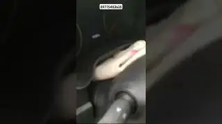 Осмотр катализатора KIA RIO 2017 1.4мт