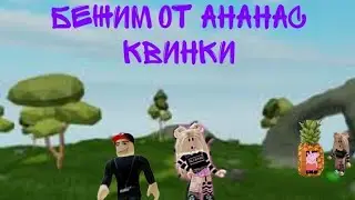 бежим от ананас квинки