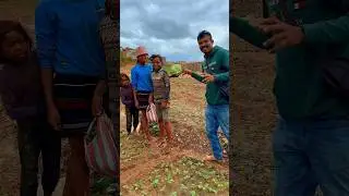 මෙන්න ගෙවිලියො