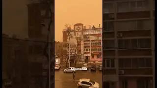 Циклон перекрасил область в оранжевый цвет #новости #shorts