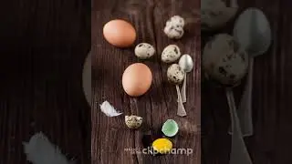 Untitled video