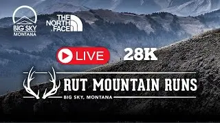 2024 Run the Rut LIVE | 28K