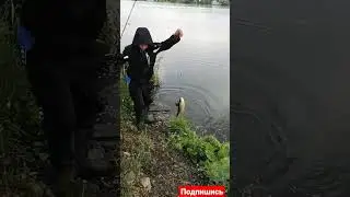 Рыбалка Осенью на Язя 