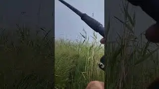 Снайперский бросок.