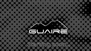 Guaire Dev Stream - Creating a Discord Bot connected to local Stable Diffusion AI Image Generator