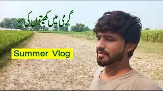 Hot Field Vlog🔥 | Summer Field Vlog| Village Vlog | #summershorts