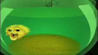 Рыба фугу поёт 