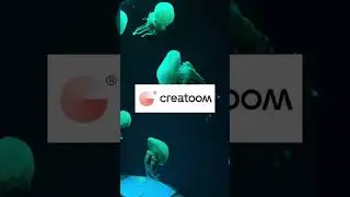 Подписывайся