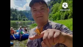 Сплав 2022 Река Ай