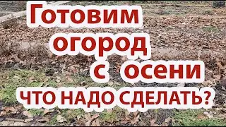 Осень.Готовим огород к следующему сезону. Биофумигация, сидерация, раскисление,мульчирование почвы.