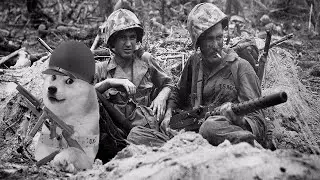 This is what really happened in WW2!