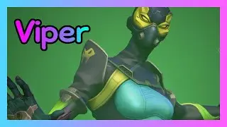 Viper! | Valorant | MIUM #15
