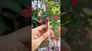 My favorite lip spa | The one tinted lip balm with SPF  | Oriflame