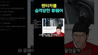 렌트카 습격당한 류웨이