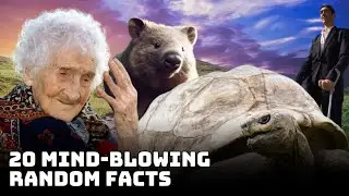 Unveiling 20 Mind-Blowing Facts That Will Blow Your Mind!