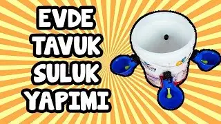 Evde Tavuk Suluğu Yapımı
