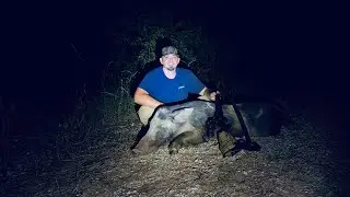 Thermal Hog Hunt | 08/25