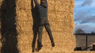 Caveman plunging face first into straw bale