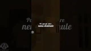Nos escapamos a diario 